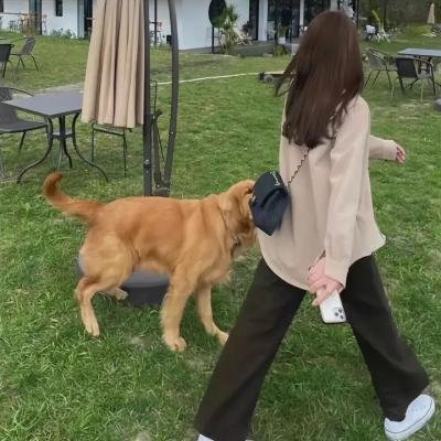 少年泰坦出击第六季